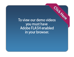 Flash Content