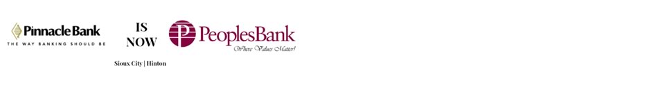 Pinnacle Bank Logo